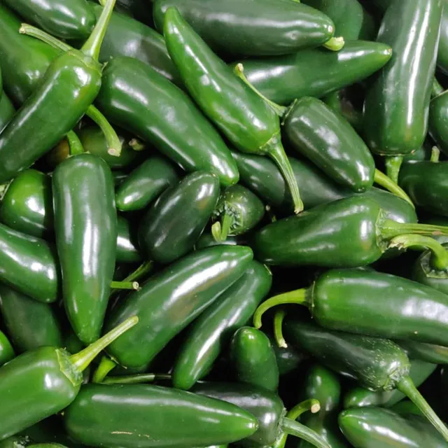 fireland-frische-jalape-o-gr-n-chilischoten-200g-mittelscharf image 1