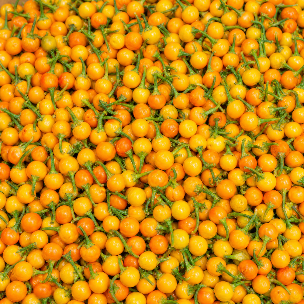 fireland-frische-chili-aji-charapita-frisch-35g-zitrus image 1