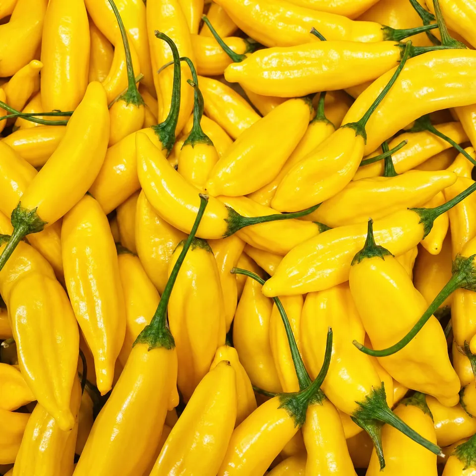 fireland-foods-frische-chili-lemon-drop-100g-zitrusfrisch-sch-rfe-7 image 1