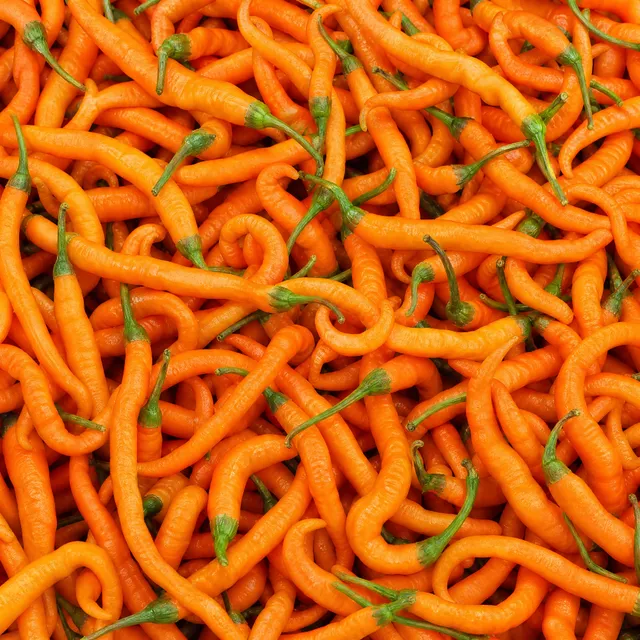fireland-foods-turuncu-spiral-frische-chili-100g-mild image 1