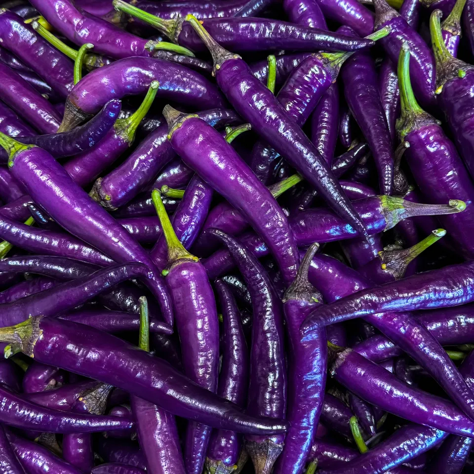 fireland-foods-diavoletto-frische-chili-100g-violett-mittelscharf image 1
