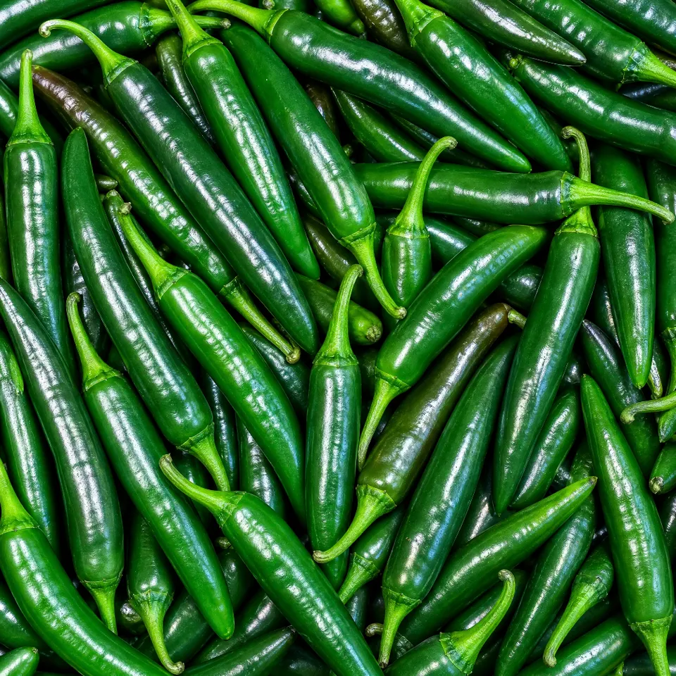 fireland-foods-frische-cayenne-gr-n-chilis-200g-mittelscharf image 1