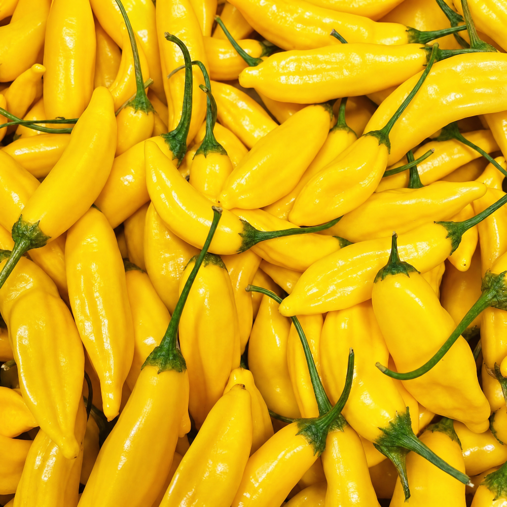 fireland-foods-frische-chili-lemon-drop-100g-zitrusfrisch-sch-rfe-7 image 1