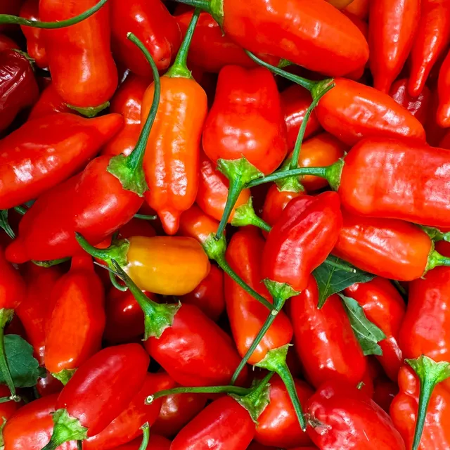 fireland-foods-aji-benito-frische-chili-100g-sch-rfe-5 image 1