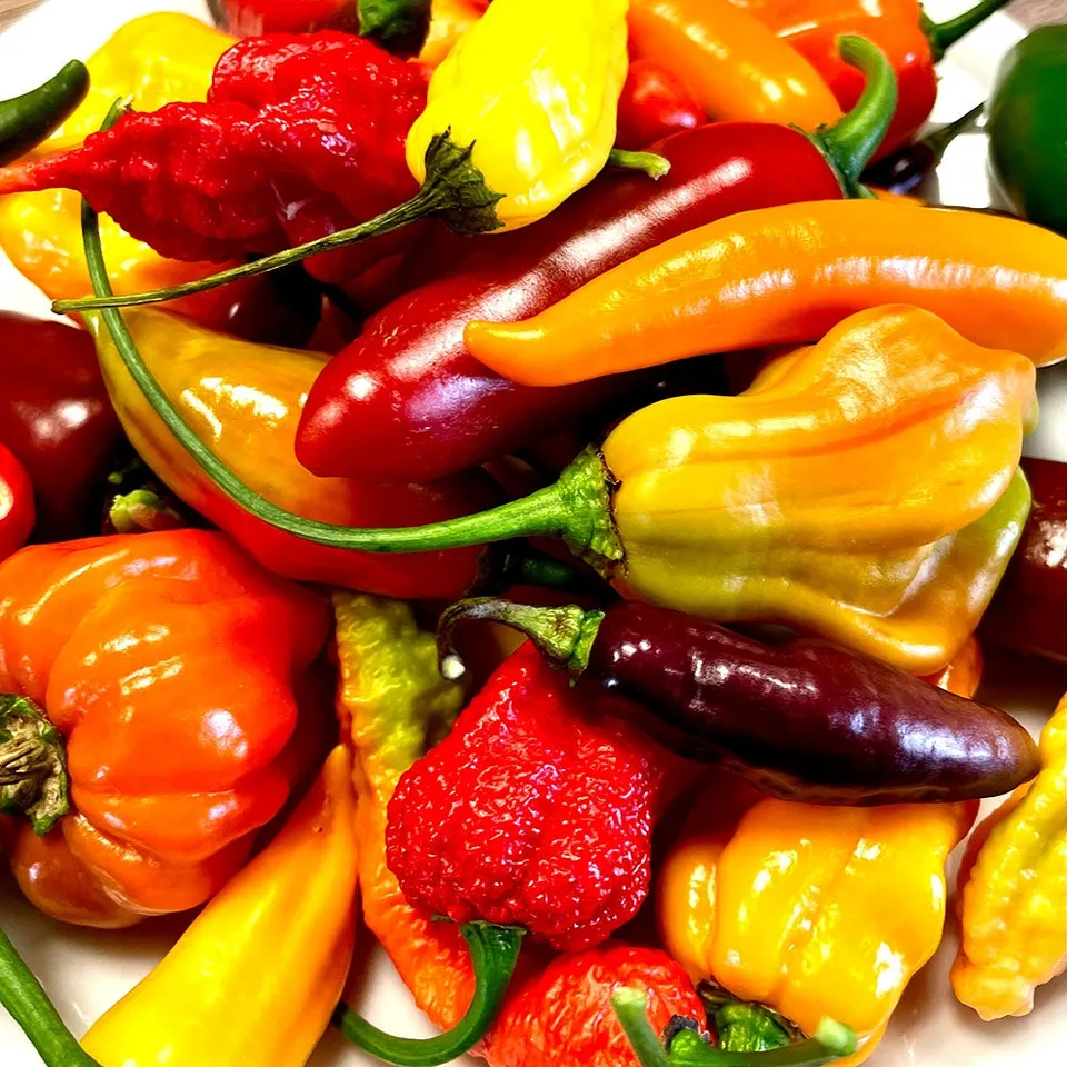 fireland-foods-schaugarten-mix-frische-chilis-200g-mild-scharf image 1