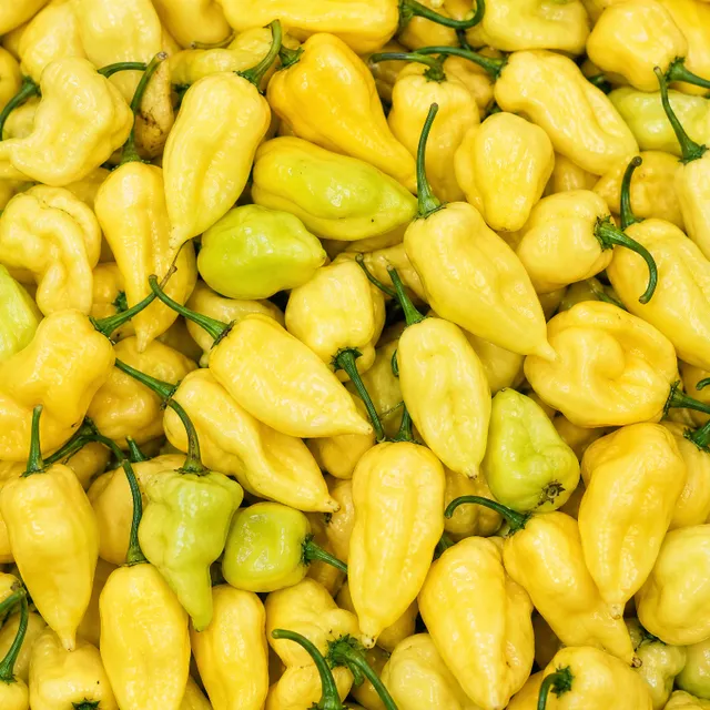 fireland-foods-frische-fatalii-wei-chili-100g-zitrus image 1
