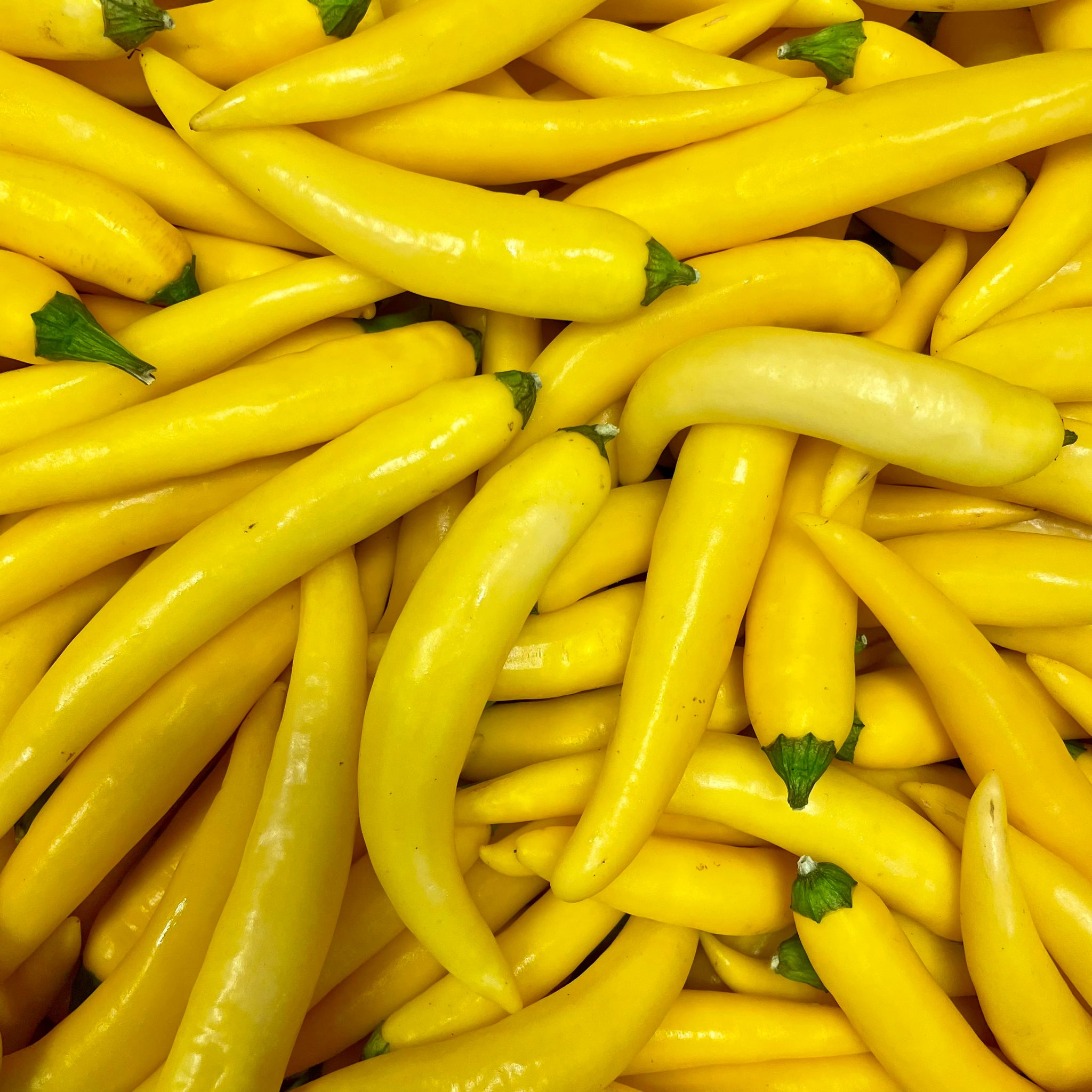 fireland-frische-cayenne-gelb-chilis-200g-mittelscharf image 1