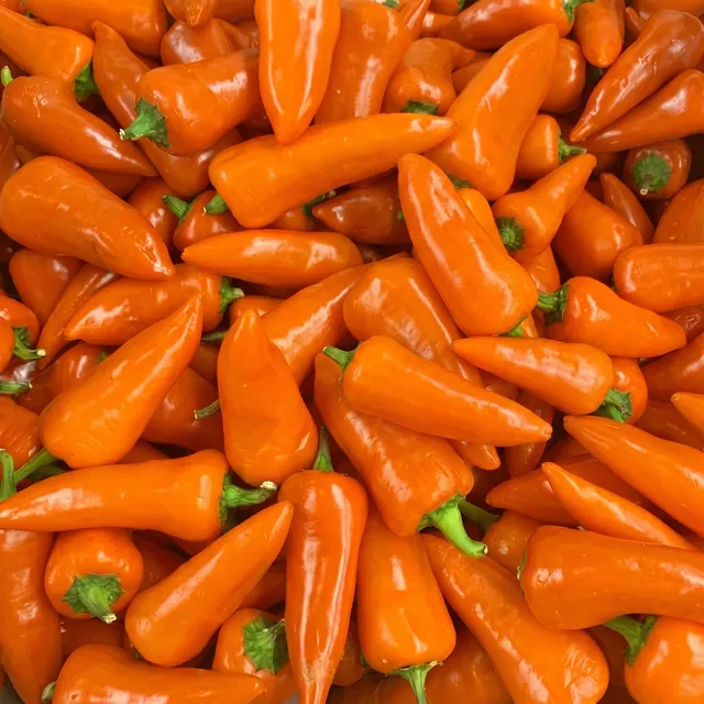 fireland-foods-fresno-orange-frische-chili-200-g image 1