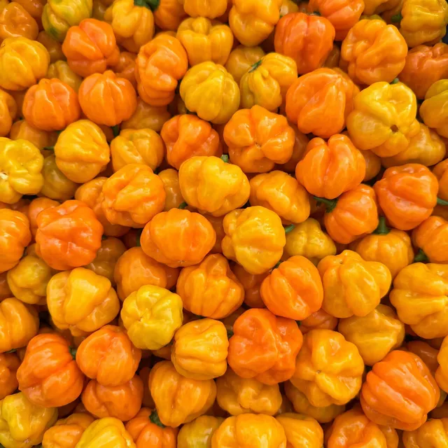 fireland-foods-scotch-bonnet-frische-chili-100g-sehr-scharf image 1